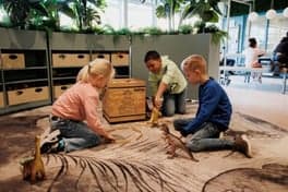 Kindercampus De Cocon 4-12 3