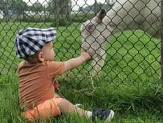 Kinderopvang de Koeienwei foto 4