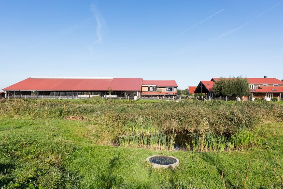 Kinderopvang de Koeienwei foto 7