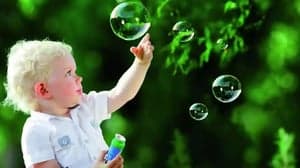 Het Eendennest foto 7