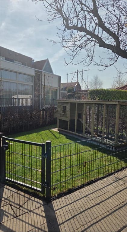 Babino KDV Ippel Stippel foto 5