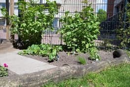 Kindcentrum Het Baken 3