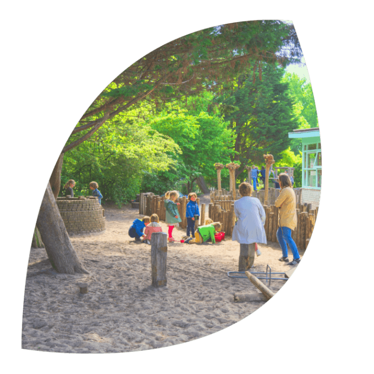 De Vlinderboom op school 2