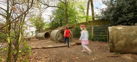 Doomijn BSO De Parken foto 5