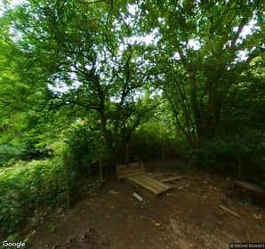 Monkey Moves BSO Eufraatdreef