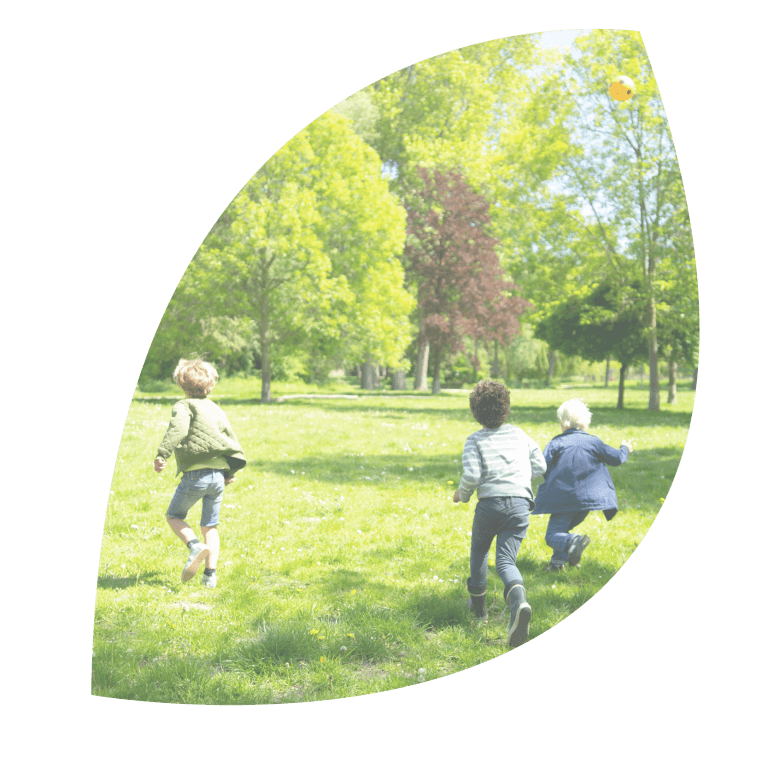 De Vlinderboom op school foto 7