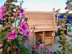 Sportify Kids locatie de Bolder foto 7