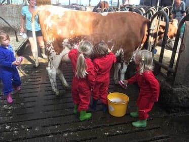 Kinderkade B.V. foto 6