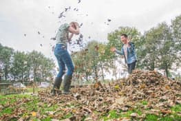 De Mukkenweide foto 4