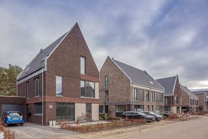 Aan de Bosrand foto 7