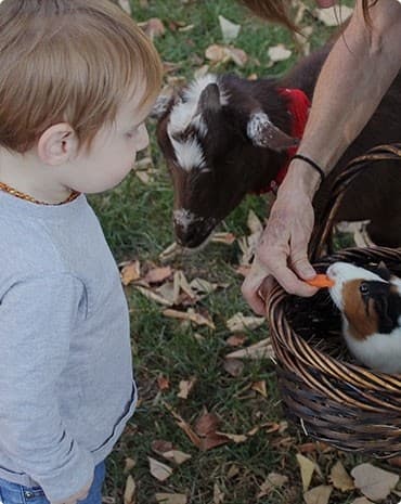 Kinderdagverblijf Buitenspelen foto 6