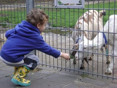 Stepping Stone Daycare foto 4