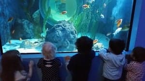 Stepping Stone Daycare foto 6