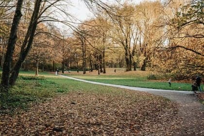 De Groeidroom foto 8