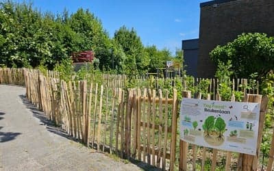 PSG Plaggenborg foto 5