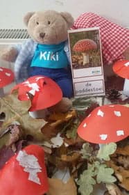 Thuishuis Kippetje Tok 3