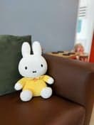 Babino KDV de Caleidoscoop foto 6