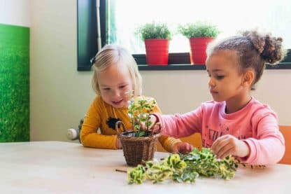 Kibeo Ribesstraat Nieuwerkerk foto 6