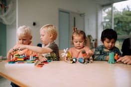 de Zijlwatering foto 5