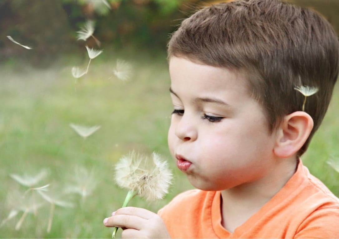 de Zijlwatering foto 7