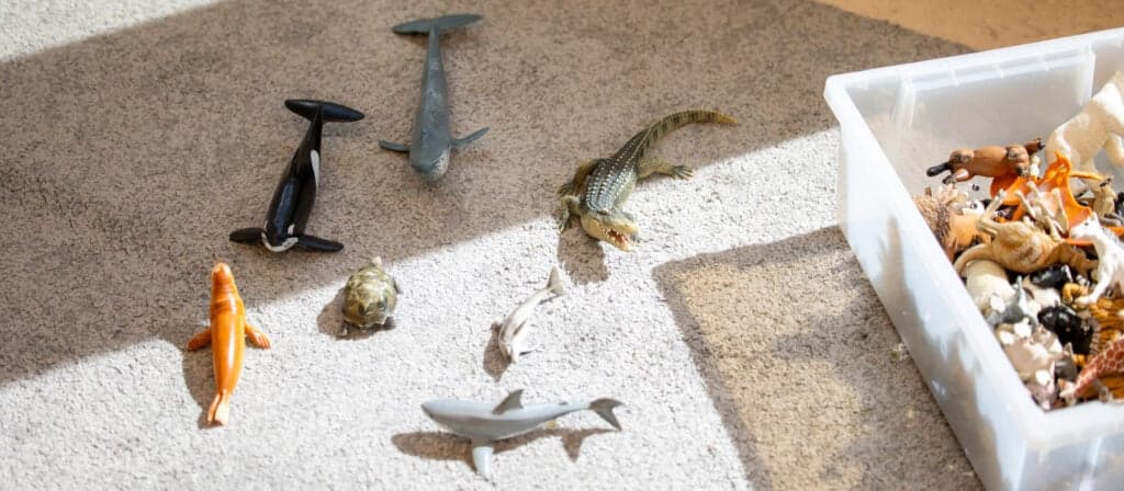 Kinderdagverblijf De Woelwaters foto 6