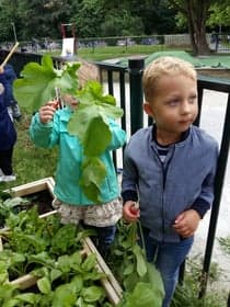 KDV Groningen Wigwam foto 4