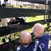 KDV De IJsselhoeve B.V. 2