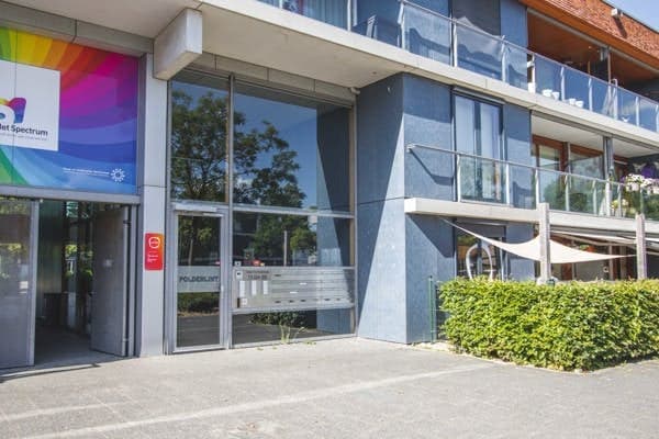 Flora - Fiesta foto 5