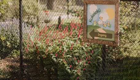 Agrarische Kinderopvang Kukelekú foto 10