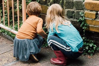 BSO de Pompoen foto 5