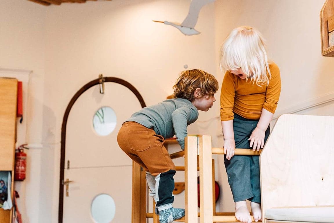 BSO de Pompoen foto 10