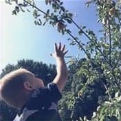 Bodhi Kinderopvang foto 4