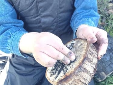 Bodhi Kinderopvang foto 7