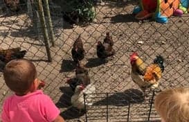 De Kinderruimte B.V. 3