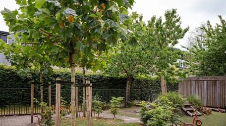 Peuteropvang De Schakel foto 8