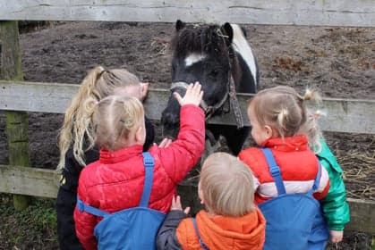 Lyts Boerehiem foto 6