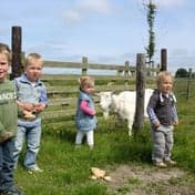 Thuishuis De Bokkesprong foto 7