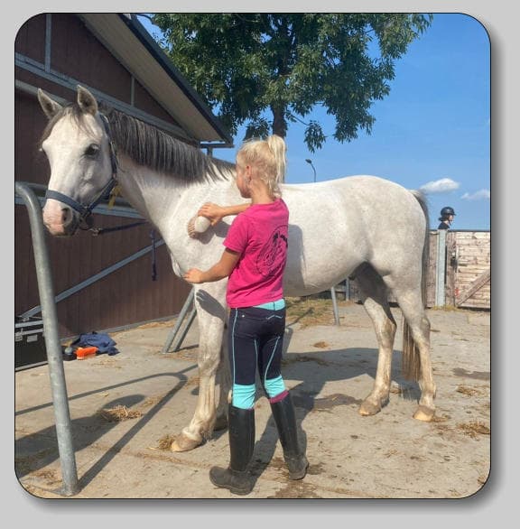 BSO Ponyclub Jasper Op Stoom 2