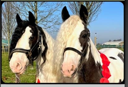 BSO Ponyclub Jasper Op Stoom 3