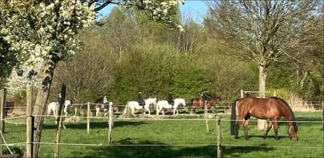 BSO Ponyclub Jasper Op Stoom foto 5