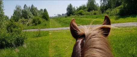 BSO Ponyclub Jasper Op Stoom foto 6