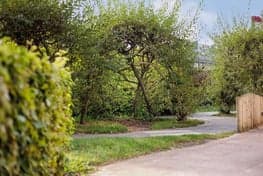 KinderRijk Kinderdagopvang Alsemlaan foto 10