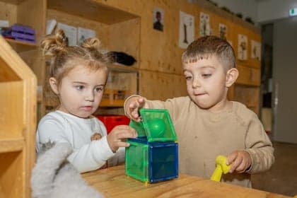 2Waterlelies foto 10