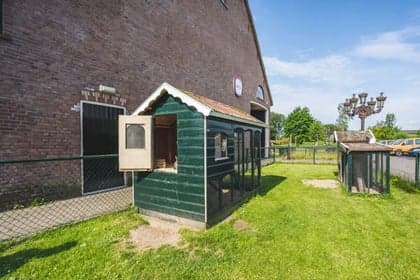 BonBon Boerderij foto 7