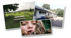 KDV Natureluur De Vlindertuin foto 4