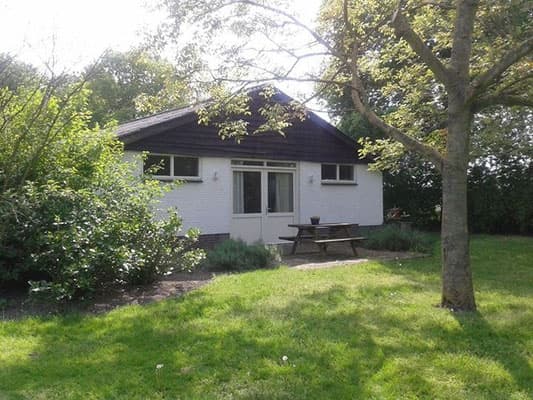 KDV Natureluur De Vlindertuin foto 5