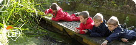 KDV Natureluur De Vlindertuin foto 8