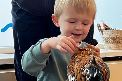 de Strandlopers foto 4