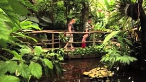 Vlindertuin Leiden 2