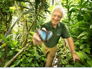 Vlindertuin Leiden foto 7